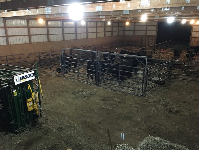 Wade Brueggeman - Calving Barn