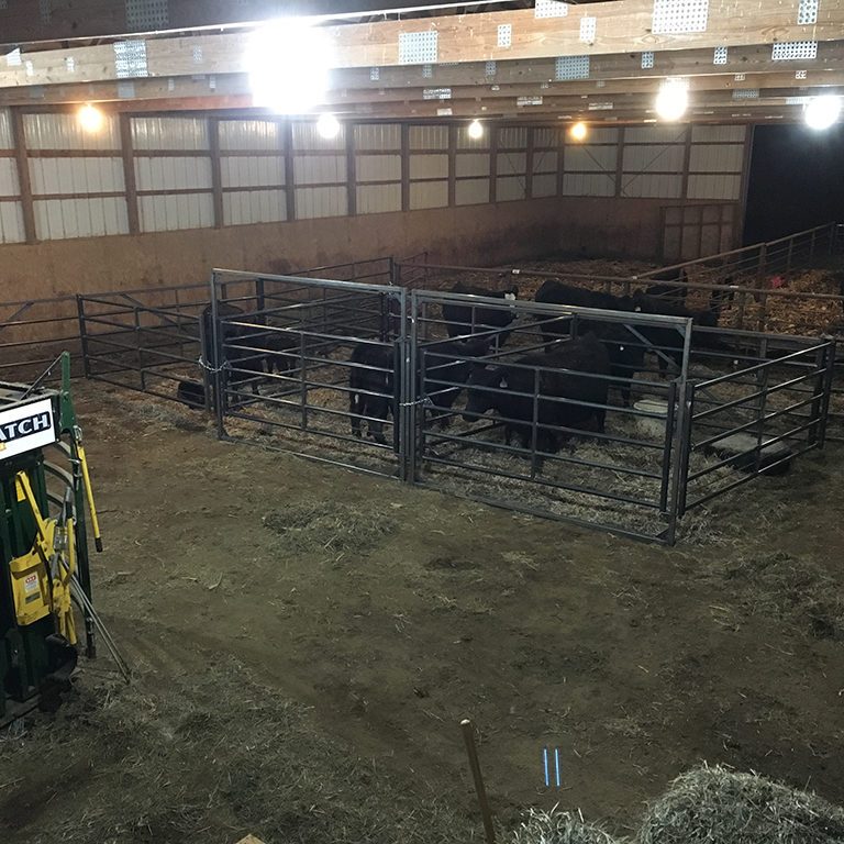Wade Brueggeman - Calving Barn